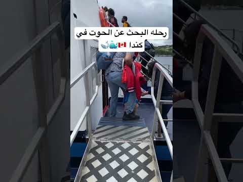 رحله البحث عن الحوت في كندا 🇨🇦🐋🐳