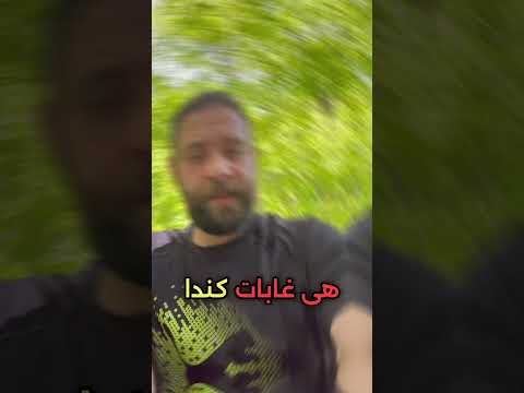 معلومات غريبة عن كندا  | كنت بتعرفها ؟ #كندا  #canada #subscribe #viral