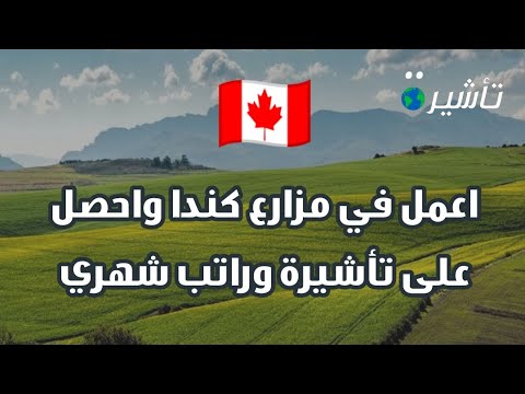 دليل كامل لمزارع مقاطعة نيوفاوندلاند الكندية 🇨🇦 وطريقة التقديم خطوة بخطوة