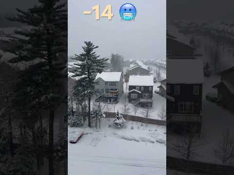 Winter in Halifax Canada Nova Scotia 🇨🇦 🥶🤦🏻‍♂️