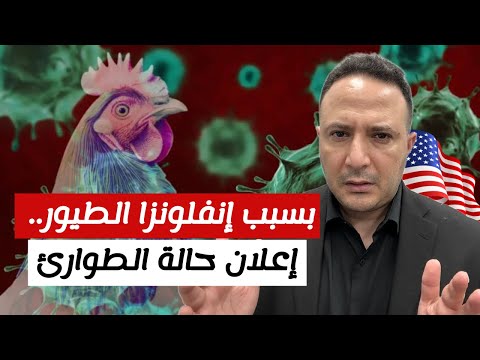 بسبب إنفلونزا الطيور..إعلان حالة الطوارئ وأول إصابة بشرية شديدة في أمريكا