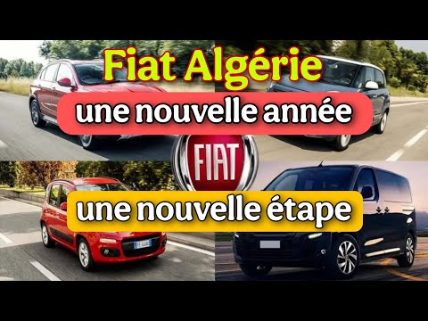 Fiat Algérie : l'usine annonce une nouvelle étape dès 2025