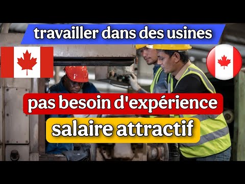 Postulez pour travailler dans des usines canadiennes : un salaire attractif, pas besoin d'expérience