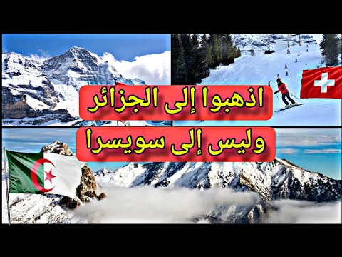 اذهبوا إلى الجزائر وليس إلى سويسرا : نداء غير مسبوق من أحد  المؤثرين