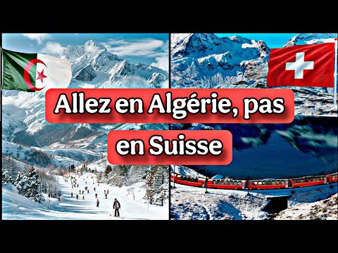 Allez en Algérie, pas en Suisse : un appel inédit d'un influenceur
