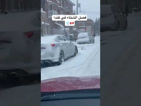 فصل الشتاء في كندا 🇨🇦 مونتريال البارحة الهجرة إلى كندا 2025 #شورتات_يوتيوب  #اكسبلور  #الهجرة