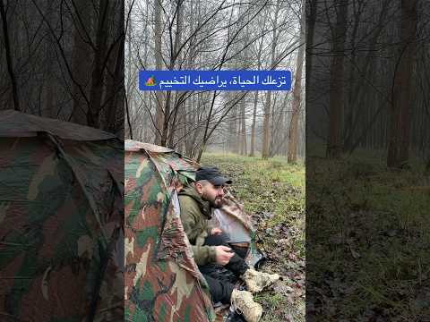 تخييم في قلب الغابة #اوروبا #العراق