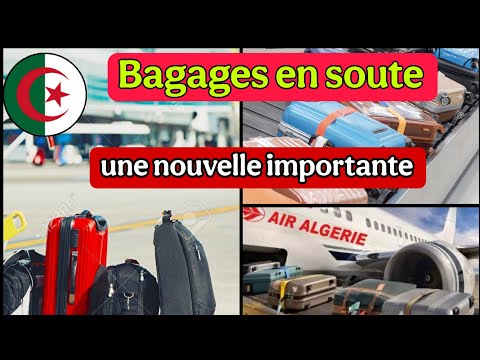 Bagages en soute : l'aéroport d'Alger annonce une nouvelle importante