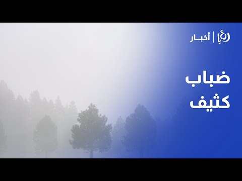تحذير من الضباب الكثيف في الأردن .. نجود القاسم توافيكم بتفاصيل الطقس