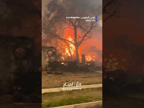 جحيم لوس أنجلوس..حرائق مدمرة تلتهم المدينة ويصفها السكان بـ"نهاية العالم" #shortsvideo  #shorts