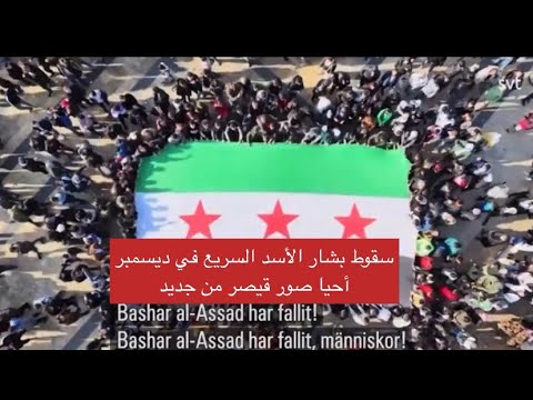 المحامي إيهاب عبد ربه يتحدث للتلفزيون السويدي عن دوره في إخراج صور قيصر من سوريا