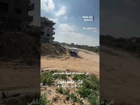 "لسة البلد واقعة" #shortvideo #shortsvideo #shorts #short