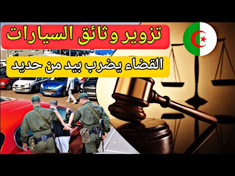 تزوير وثائق السيارات – قضاء الجزائر يضرب بيد من حديد