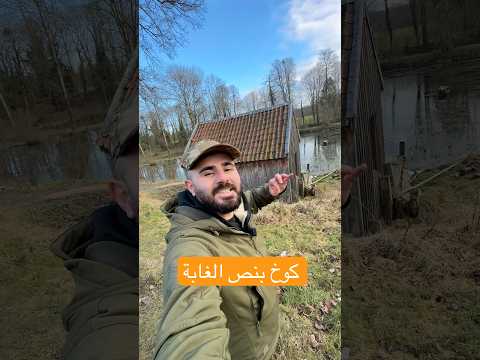 صار عندي كوخ في الغابة 🏕️😍 #العراق #اوروبا