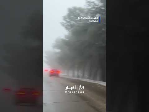 الثلوج في الرشادية #shortsvideo #shortvideo #shorts #short
