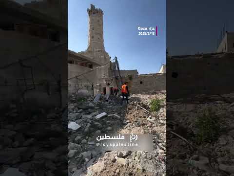 المسجد العمري #shortsvideo #shortvideo #shorts #short