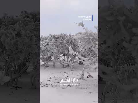 ثلوج في معان  #shortsvideo #shortvideo #shorts #short #shortsclip