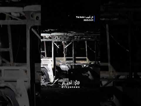 حجم الضرر #shortsvideo #shortvideo #shorts #short