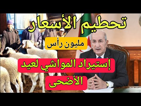إستيراد مليون كبش لعيد الأضحى – توضيح هام من الرئيس تبون