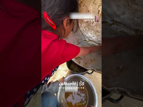 تجمع بقايا الطعام بعد أن نفذ #shortvideo #shortsvideo #shorts #short