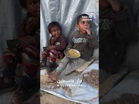 عندما يصبح الطعام حلما  #shortsvideo #shortvideo #shorts #short