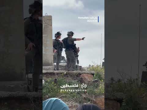 التوافد للقدس #shortvideo #shorts #short #shortsclip #shortscraft