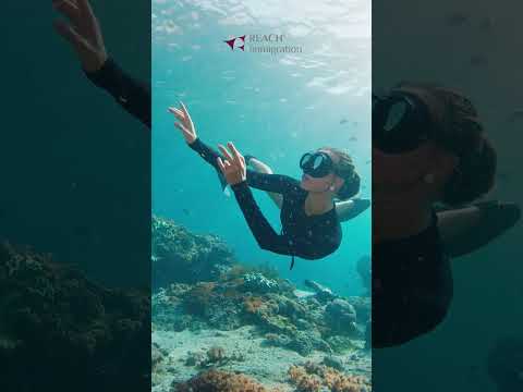 اكتشف البرتغال في عدّة ألوان