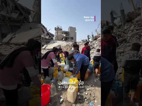 التدافع على المياه  #shortsvideo #shortvideo #shorts #short