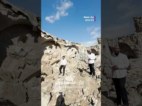 المسجد العمري في غزة #shortsvideo #shortvideo #shorts #short