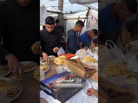 الحياة تعود لمدينة بيت حانون #shortsvideo #shortvideo #shorts #short