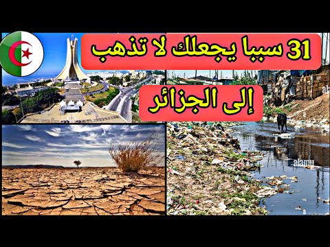 حذاري – 31 سببا لعدم الذهاب إلى الجزائر