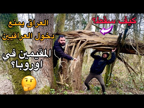 العراق يوقف منح تأشيرة الدخول لمواطني اوروبا و امريكا والعراقيين المغتربين| عراقي في بلجيكا 🇧🇪