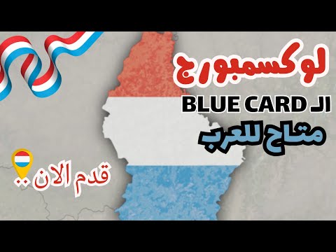 أسهل طريق للهجرة إلى أوروبا! 🇱🇺 بطاقة Blue Card لوكسمبورج خطوة بخطوة 2025/2026
