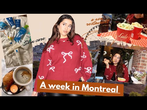 Snowy week in Montreal be like 🇨🇦☃️ ❄️