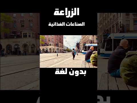 🔥 فرصة سفر قوية لهولندا بدون لغة ولا شهادة!