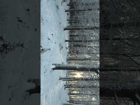 لما ينزل الثلج… الدنيا كلها تسكت winter snow  #travel #winter