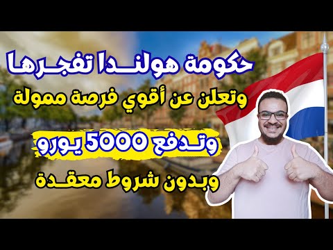 حكومة هولندا تدفع 5000 يورو لكل الراغبين بالسفر بدون عقد عمل نهائياً